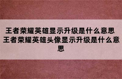 王者荣耀英雄显示升级是什么意思 王者荣耀英雄头像显示升级是什么意思